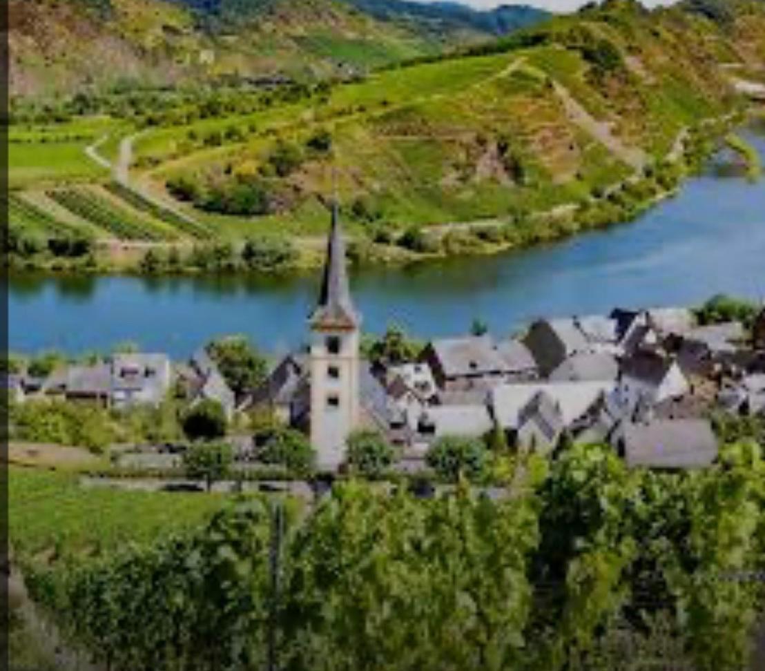 Ferienwohnung Eifel Mosel Hunsrueck Bergweiler Ngoại thất bức ảnh